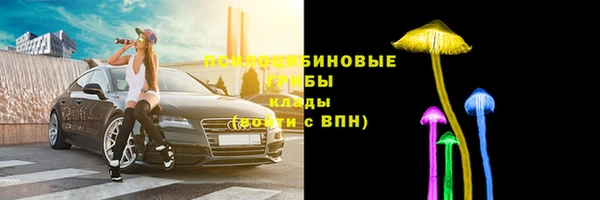 МДПВ Аркадак
