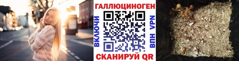 Галлюциногенные грибы GOLDEN TEACHER Слюдянка
